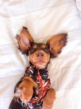 Load image into Gallery viewer, Puppy Bundle