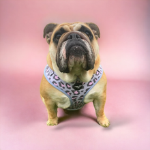 Load image into Gallery viewer, Leopard Lovin' Adjustable Harness