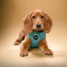 Load image into Gallery viewer, Teal Splatter Adjustable Harness