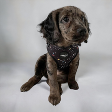 Load image into Gallery viewer, Rainbow Galaxy Adjustable Harness