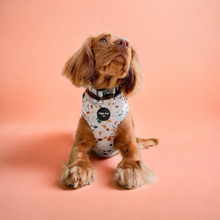 Load image into Gallery viewer, Burnt Terrazzo Adjustable Harness
