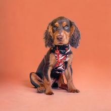 Load image into Gallery viewer, Swirling Lava Adjustable Harness