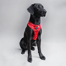 Load image into Gallery viewer, Sunset Vibes Adjustable Harness