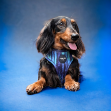 Load image into Gallery viewer, Riptide Blue Adjustable Harness
