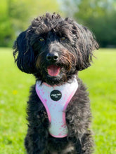 Load image into Gallery viewer, Pink Splash Adjustable Harness