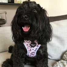 Load image into Gallery viewer, Leopard Lovin' Adjustable Harness