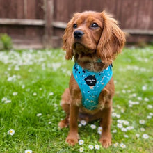 Load image into Gallery viewer, Teal Splatter Adjustable Harness