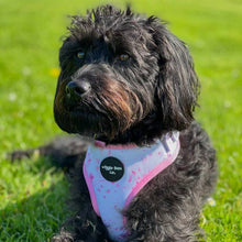 Load image into Gallery viewer, Pink Splash Adjustable Harness