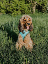 Load image into Gallery viewer, Teal Splatter Adjustable Harness