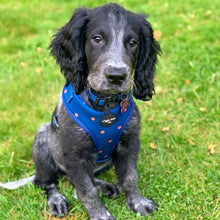 Load image into Gallery viewer, Spotted Midnight Adjustable Harness