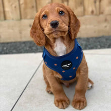 Load image into Gallery viewer, Puppy Bundle