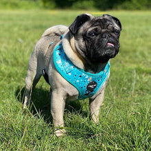 Load image into Gallery viewer, Teal Splatter Adjustable Harness