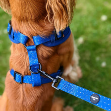 Load image into Gallery viewer, Spotted Midnight Adjustable Harness
