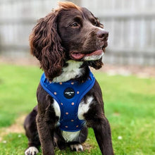 Load image into Gallery viewer, Spotted Midnight Adjustable Harness