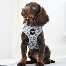 Load image into Gallery viewer, Puppy Bundle