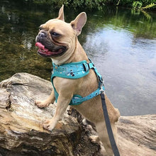 Load image into Gallery viewer, Teal Splatter Adjustable Harness