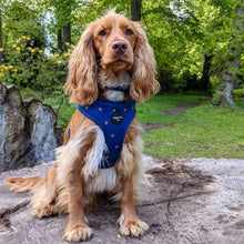 Load image into Gallery viewer, Spotted Midnight Adjustable Harness