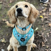 Load image into Gallery viewer, Teal Splatter Adjustable Harness