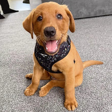 Load image into Gallery viewer, Rainbow Galaxy Adjustable Harness