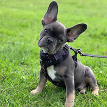 Load image into Gallery viewer, Rainbow Galaxy Adjustable Harness