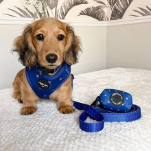 Load image into Gallery viewer, Spotted Midnight Adjustable Harness