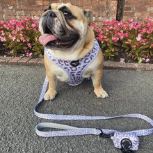 Load image into Gallery viewer, Leopard Lovin' Adjustable Harness