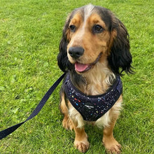 Load image into Gallery viewer, Rainbow Galaxy Adjustable Harness