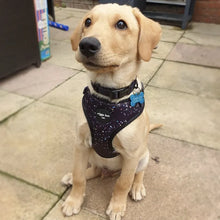 Load image into Gallery viewer, Rainbow Galaxy Adjustable Harness