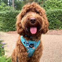 Load image into Gallery viewer, Teal Splatter Adjustable Harness