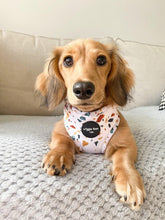 Load image into Gallery viewer, Puppy Bundle