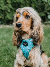 Load image into Gallery viewer, Teal Splatter Adjustable Harness