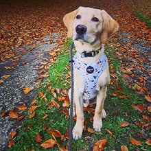 Load image into Gallery viewer, Burnt Terrazzo Adjustable Harness
