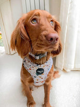 Load image into Gallery viewer, Burnt Terrazzo Adjustable Harness