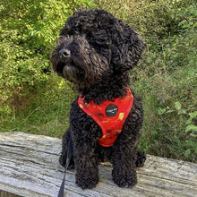 Load image into Gallery viewer, Sunset Vibes Adjustable Harness