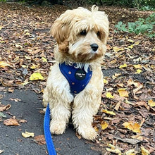 Load image into Gallery viewer, Spotted Midnight Adjustable Harness