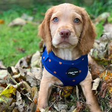 Load image into Gallery viewer, Spotted Midnight Adjustable Harness