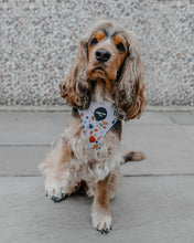 Load image into Gallery viewer, Burnt Terrazzo Adjustable Harness