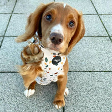 Load image into Gallery viewer, Burnt Terrazzo Adjustable Harness