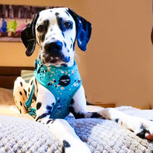 Load image into Gallery viewer, Teal Splatter Adjustable Harness