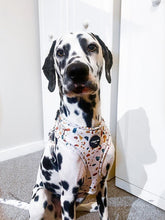 Load image into Gallery viewer, Burnt Terrazzo Adjustable Harness