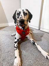 Load image into Gallery viewer, Sunset Vibes Adjustable Harness