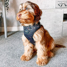 Load image into Gallery viewer, Rainbow Galaxy Adjustable Harness