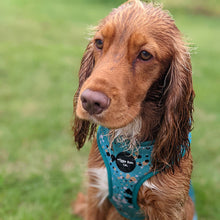 Load image into Gallery viewer, Teal Splatter Adjustable Harness