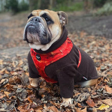 Load image into Gallery viewer, Sunset Vibes Adjustable Harness