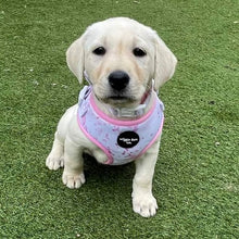 Load image into Gallery viewer, Pink Splash Adjustable Harness