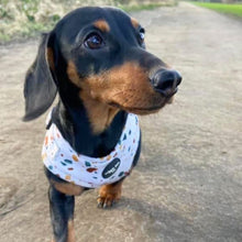 Load image into Gallery viewer, Burnt Terrazzo Adjustable Harness