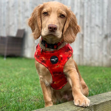 Load image into Gallery viewer, Sunset Vibes Adjustable Harness