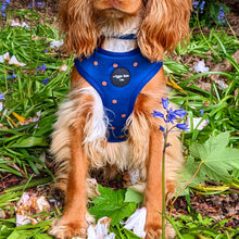 Load image into Gallery viewer, Spotted Midnight Adjustable Harness