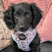 Load image into Gallery viewer, Leopard Lovin' Adjustable Harness