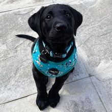 Load image into Gallery viewer, Teal Splatter Adjustable Harness